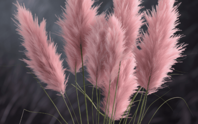 Best Pink Pampas Grass for 2024